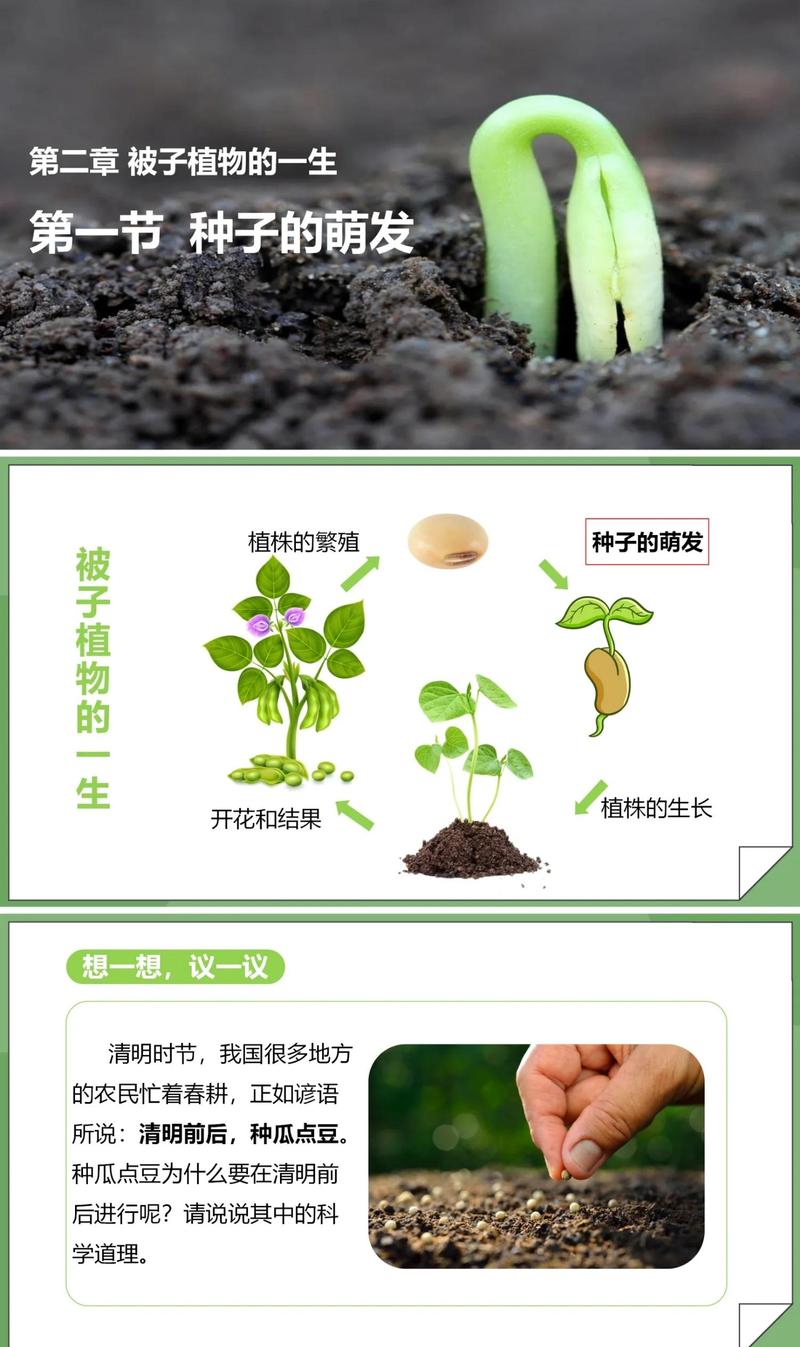 新课标下，种子萌发条件早就不是背出来的了
