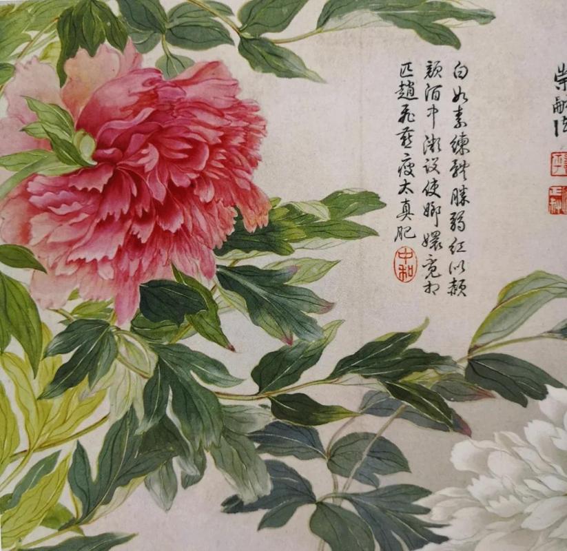 恽寿平没骨牡丹花谱国画