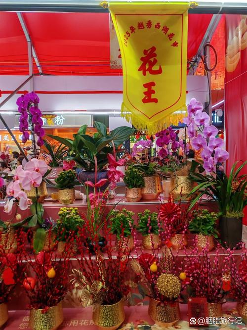 变与不变:当代广州花市的新模样