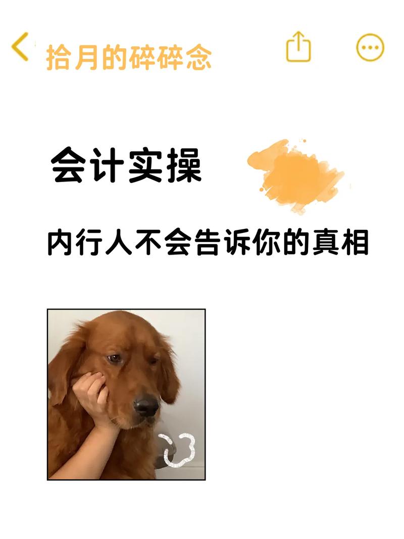 两个没人会主动告诉你的实操提醒
