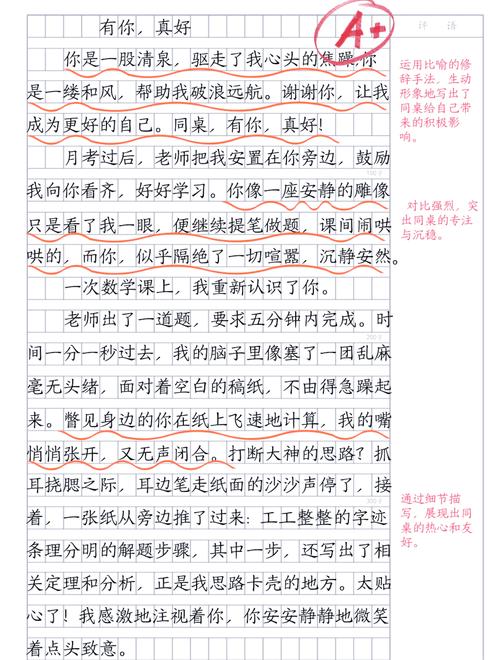 小学六年级教师批改过的周记作文页