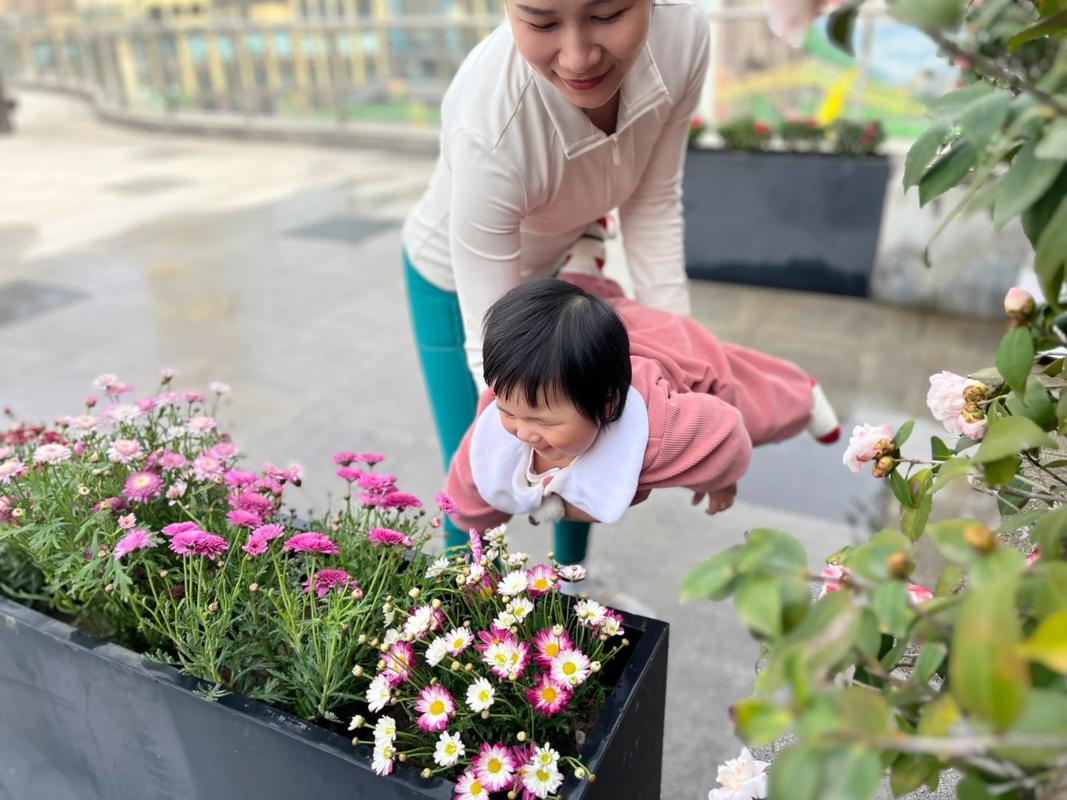 孩子和父母在花园埋葬宠物并种下一朵花