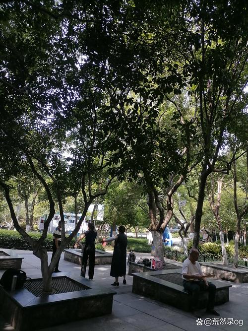 两三个朋友在公园长椅轻松交谈 阳光透过树叶