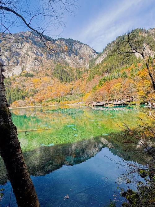 五花海钙化层内嵌枫叶的色泽特写