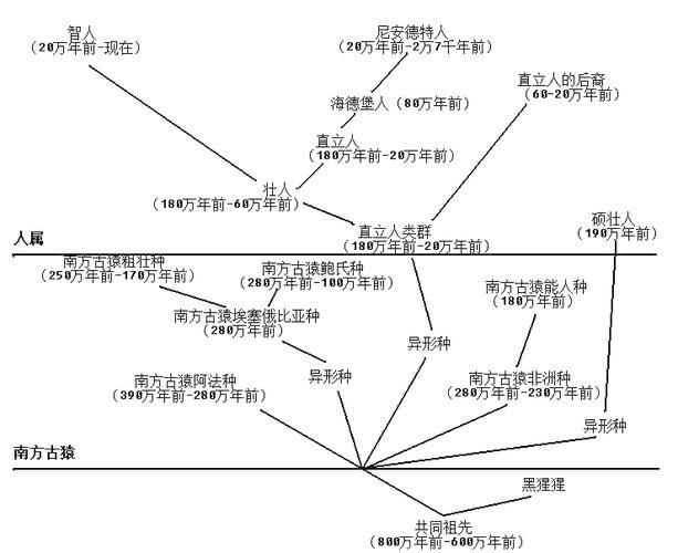 身份演变：从工具到家人，再到“人格”