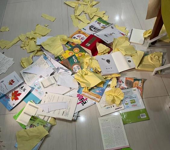 被撕碎扔在地上的中学课本