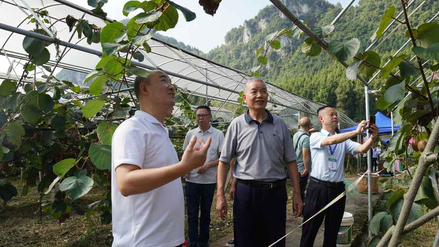 贵州猕猴桃园青年基层干部合影