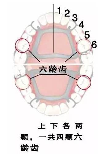 养好小习惯，比你天天收拾省力太多