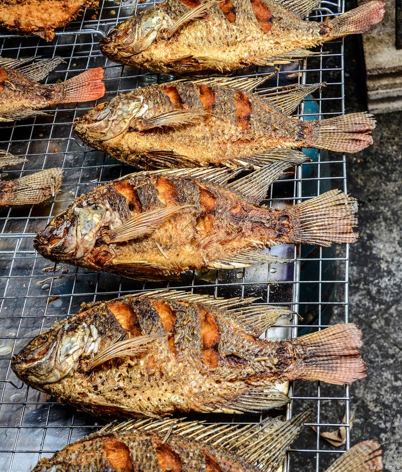 布尔津烤狗鱼特写