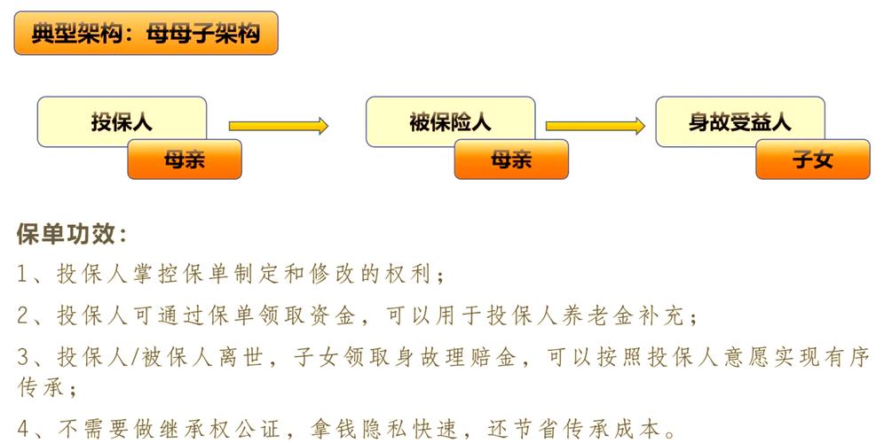 人身保险保单模板结构示意图
