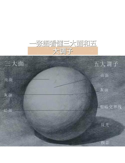 球体三大面五大调子素描示例绘画教程