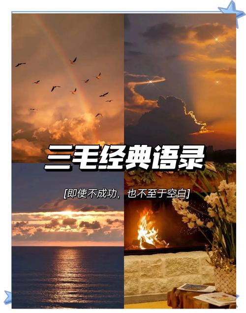 给你三句实话