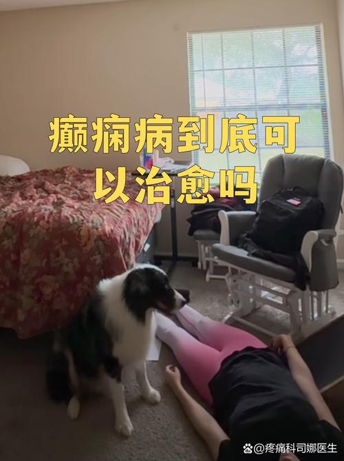 得了癫痫就只能放弃？做好养护毛孩子照样能好好生活