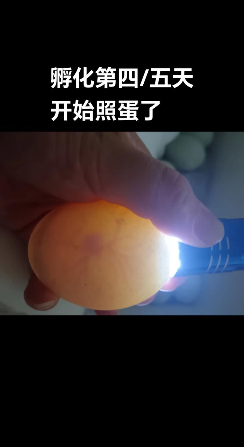 三岁才显现的遗传彩蛋,差点让我们以为抱错了