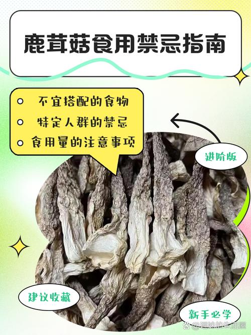 吃菌菇的讲究,没有一概而论的说法