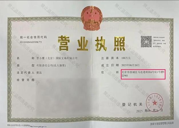 公司营业执照签发法人资格成立示意图
