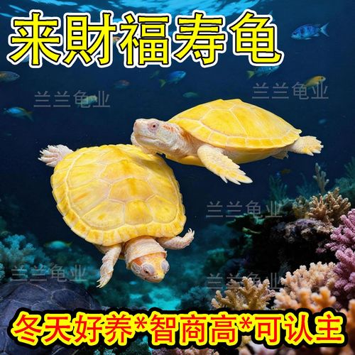 六、最后,把家当成一个“活物”来养