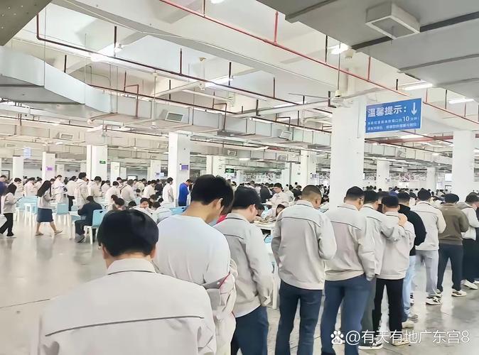 这几家厂子，有点意思