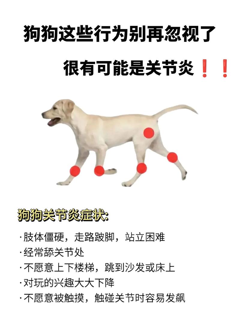 宠物关节炎早期行为变化对照表