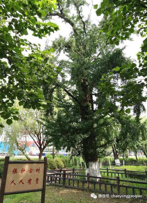 区级文物保护单位祖宅登记证书样本