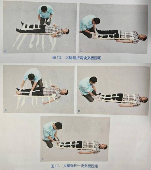 家用硬纸板固定宠物骨折腿部实操图
