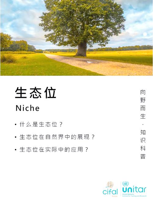 2025年,厂家的生态位正在分化