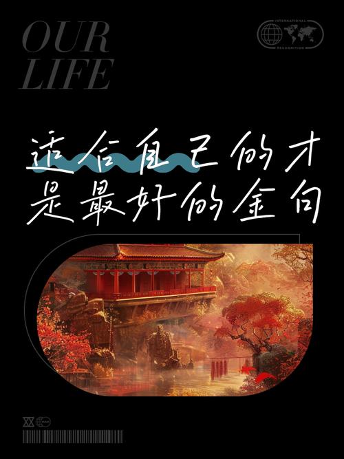 别迷信品牌，适合自己的才是最好的