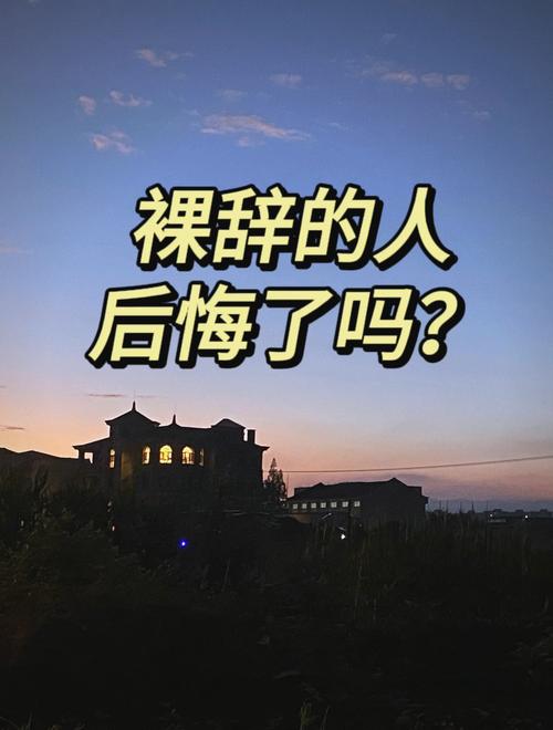 裸辞后在家焦虑的年轻人
