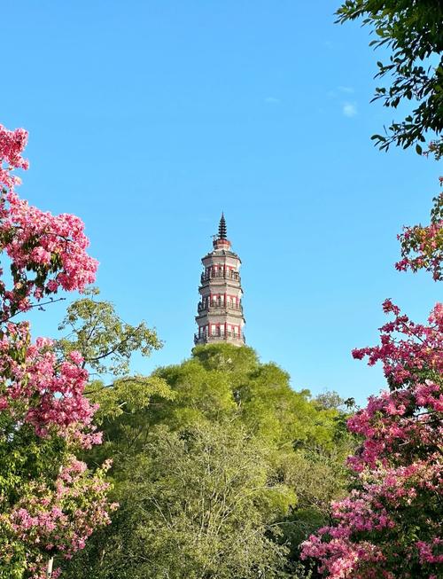 顺峰山公园:免费且能玩一天,但停车是噩梦