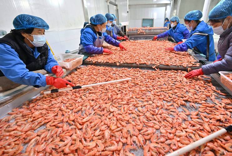 水产沉性虾料膨化成型出料口现场