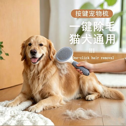 家庭给宠物梳毛清理浮毛场景