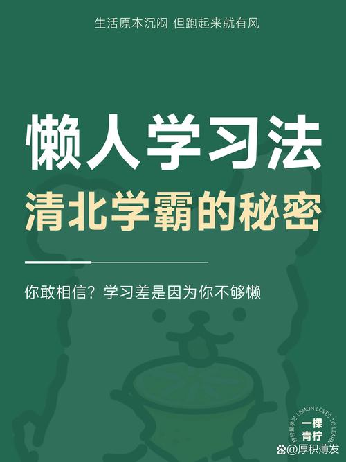 偷懒才是终极学习法