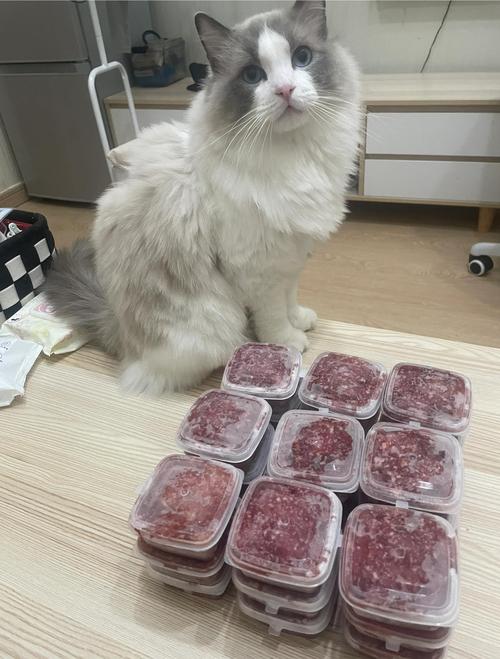 家庭自制猫咪生骨肉搭配餐盘