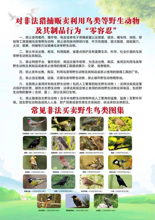 朋友圈非法售卖野生保护植物聊天截图