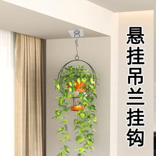 天花板钻孔安装垂吊花盆挂钩细节图