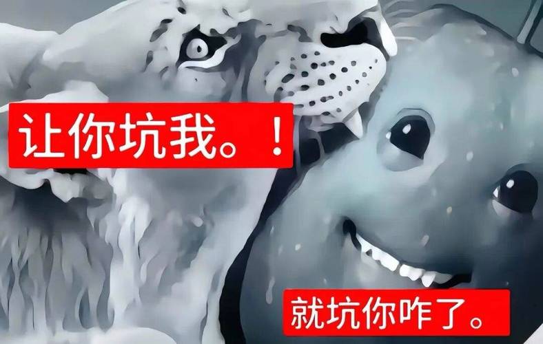 真被坑了，你的合法反击包直接拿好