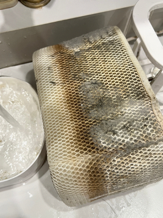 加湿器水箱底部导水硅胶塞拆下来的霉斑特写