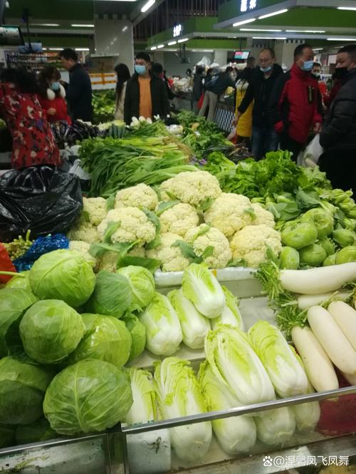 菜市场新鲜绿叶菜与不新鲜对比图