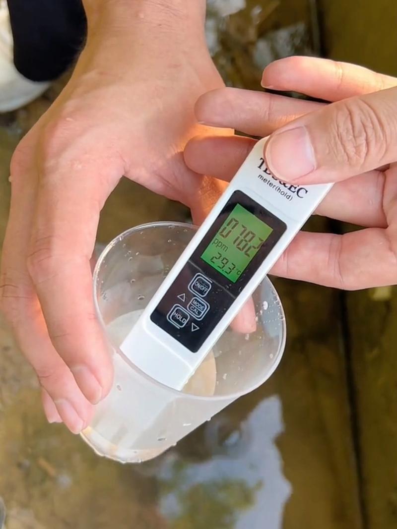 家庭TDS笔测试自来水水质
