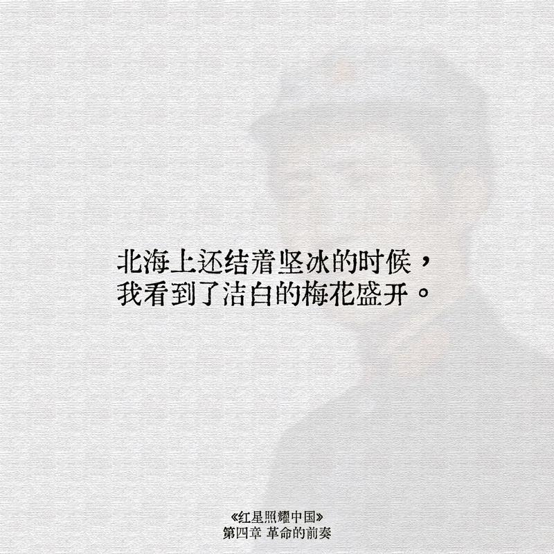 五、结语:北海的味觉底线