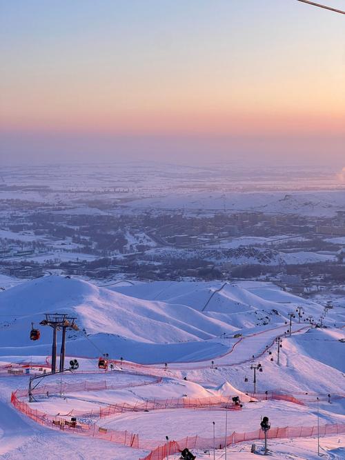 新疆阿勒泰野雪树林粉雪