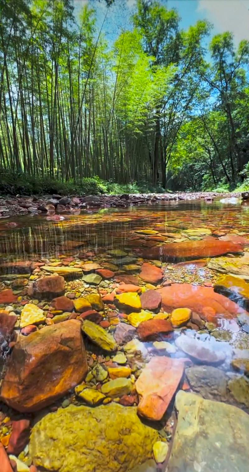 湖北襄阳南漳雁荡山山间竹林溪流