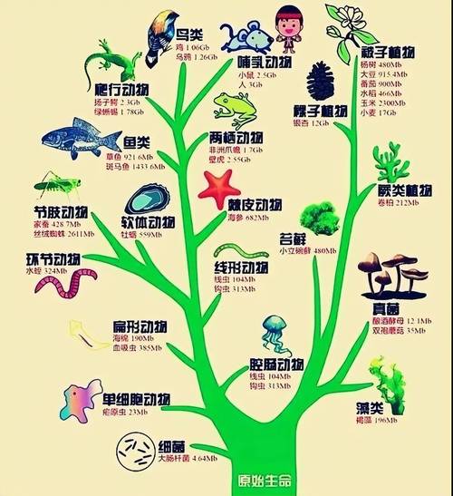 生物进化泛化种特化种生存范围对比图