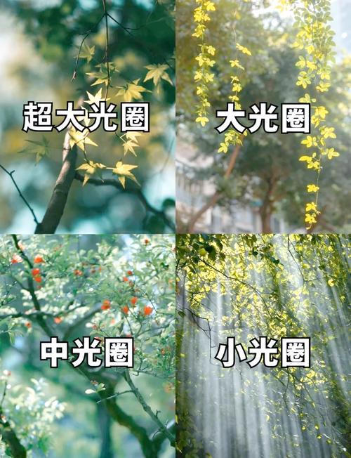 光圈开太大，景深浅得像纸