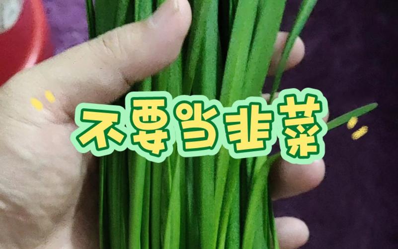 不想当韭菜?这几点你得知道