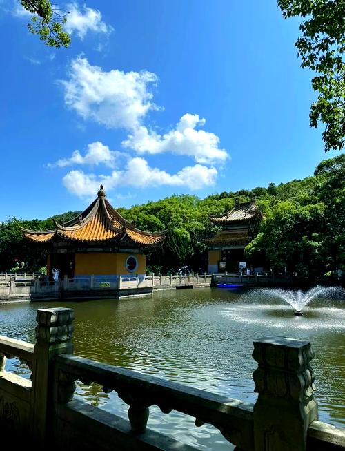 中国浙江省普陀山普济寺千年古银杏