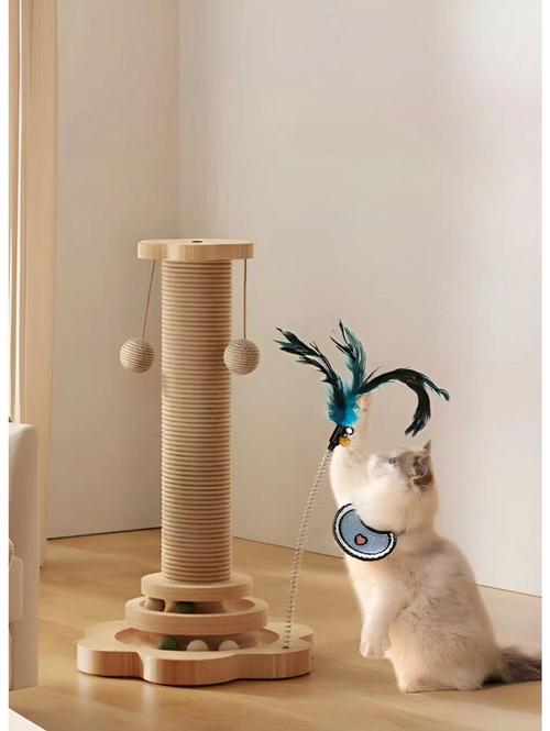 自助猫玩具装置猫咪夜间玩耍示意图