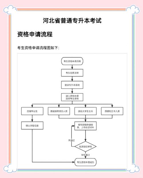 统招专升本报名资格审核流程图