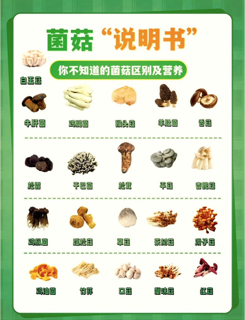这几类人吃菌菇要多留心