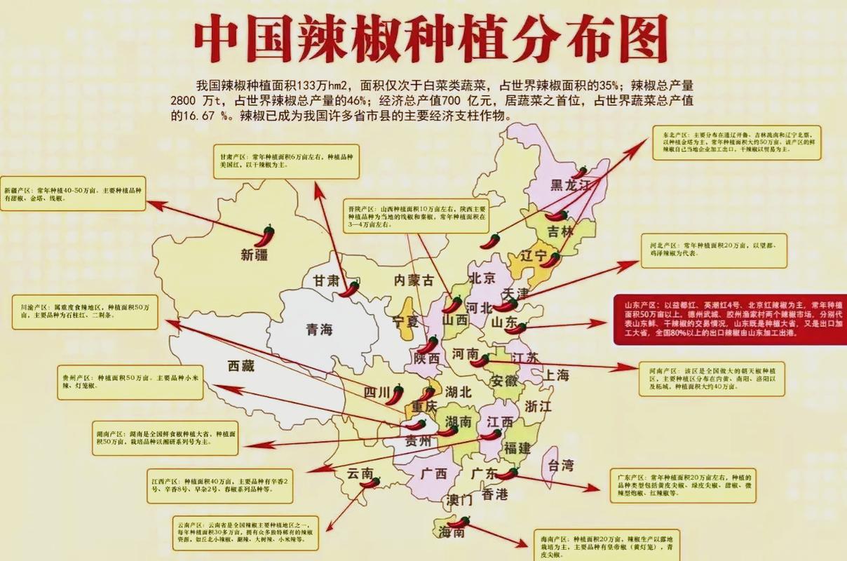 辣椒地图:谁把江山染红